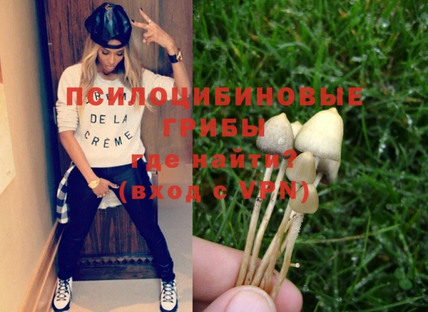 мдпв Нефтегорск