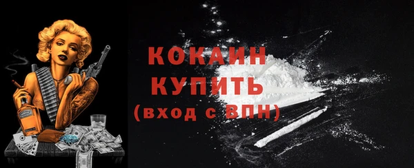 мдма Новодвинск