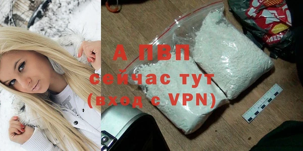 PSILOCYBIN Нея