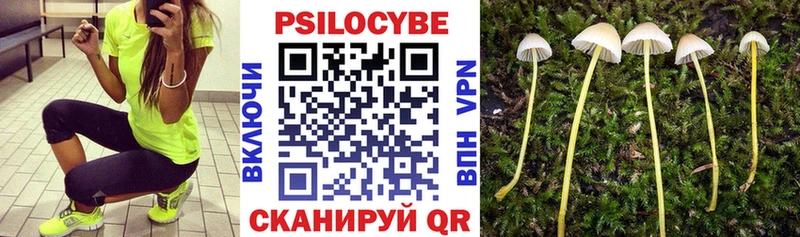 цены Кораблино Галлюциногенные грибы ЛСД