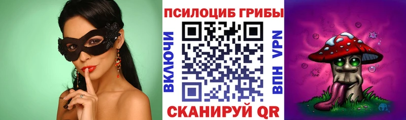 Псилоцибиновые грибы Psilocybe Кораблино